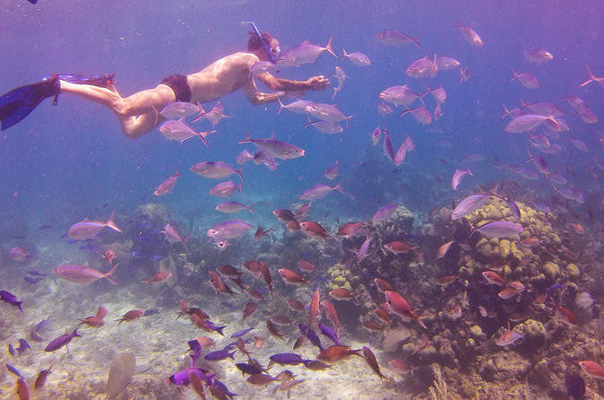 Journée complète de snorkeling sur l'île de Catalina, au départ de Bavaro