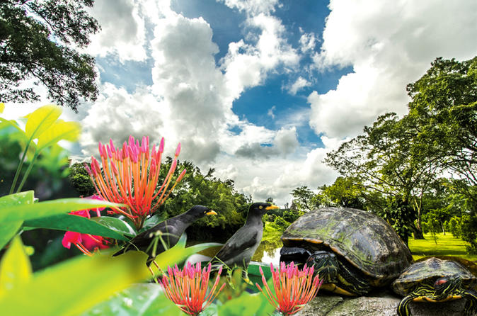 Garden By The Bay Annual Pass gardensthe bay tours, singapore | ticket price | timings: triphobo Garden By The Bay Annual Pass gardensthe bay tours, singapore | ticket price | timings: triphobo