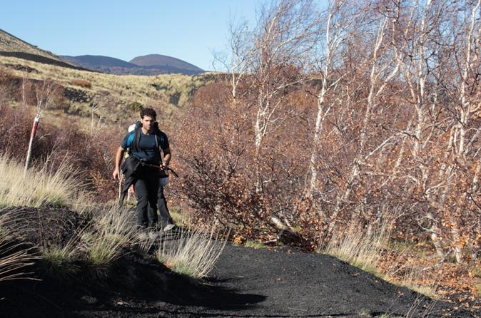 Etna Trekking Half-Day Tour