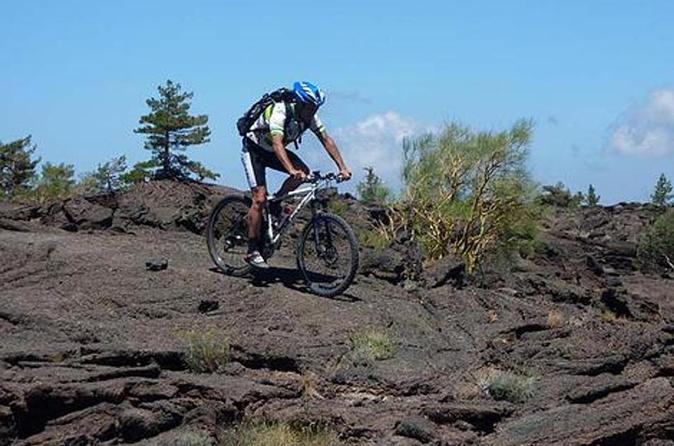 Mount Etna Mountain BikeTour
