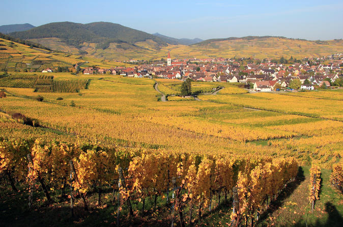 Alsace Half Day Wine Tour from Colmar