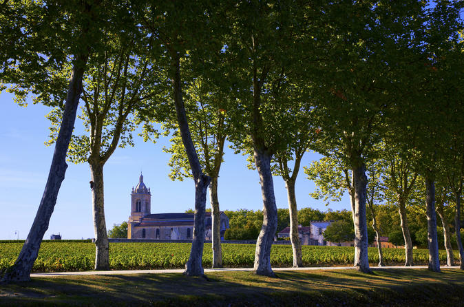 Tour di una giornata di degustazione vini nella regione del Médoc con partenza da Bordeaux