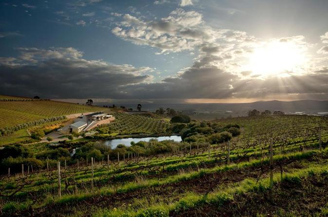 Private Wine Tour of Stellenbosch from Stellenbosch
