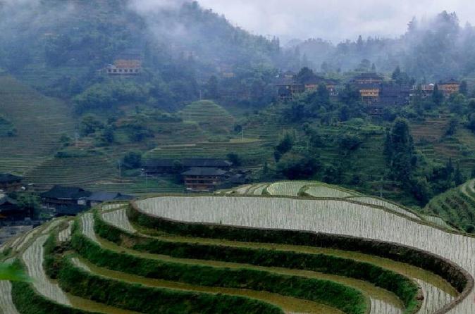 Private Tour of Dragon's Backbone Rice Terraces in Longsheng