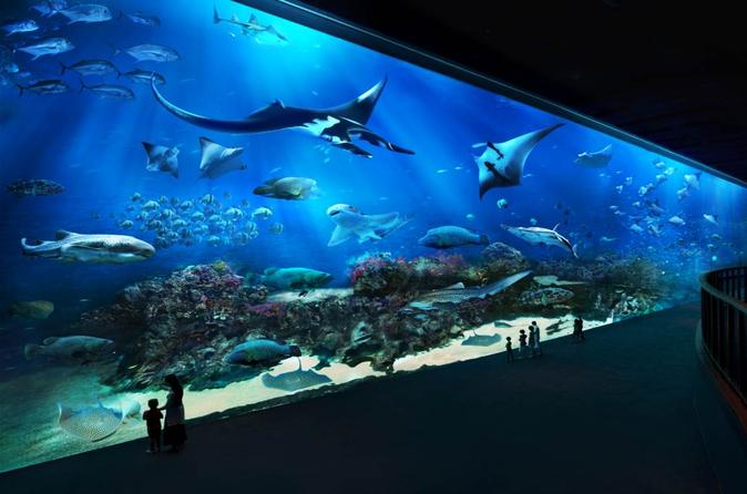 Skip the Line: S.E.A Aquarium Day Pass Including Hotel Pickup from Singapore