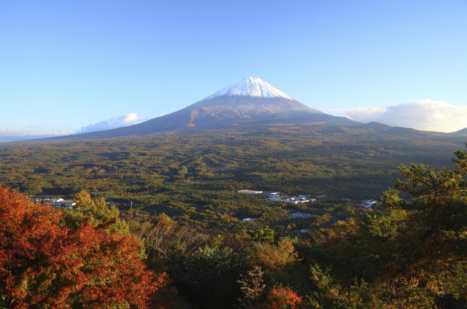 Mt fuji and aokigahara forest day trip from tokyo in tokyo 175462
