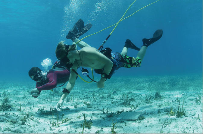Croisière d'une journée à Punta Cana avec plongée avec narguilé et tuba