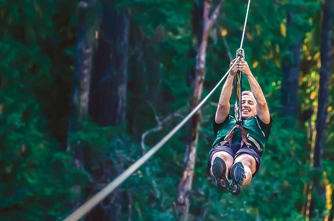 40-Minute Nanaimo Zipline Adventure