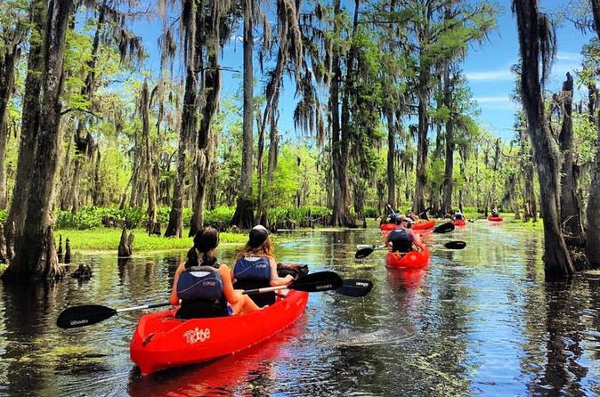 Manchac Swamp Mystic Wildlife Kayak Tour