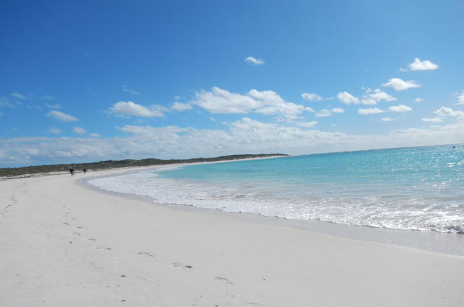 Abrolhos Islands Shipwreck Air and Land Tour from Geraldton