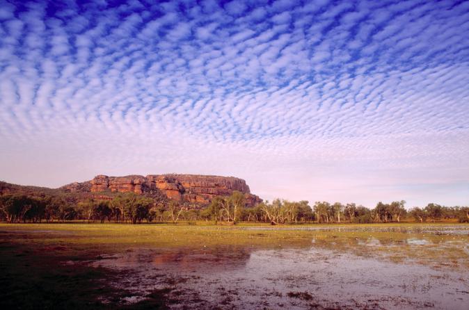 Kakadu Day Tour From Darwin Including Ubirr Art Site And Mary River Wetlands Cruise