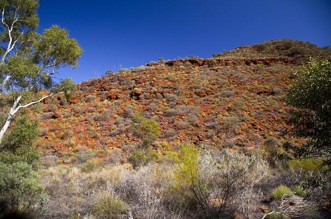 Alice Springs Tours & Sightseeing