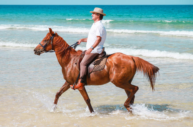 Horse Riding Tour In Comporta Beach From Lisbon