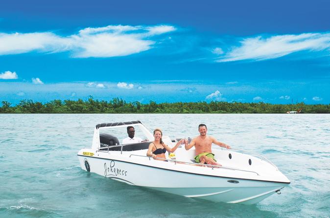 Ile Aux Cerfs Speedboat Excursion From Trou D Eau Douce