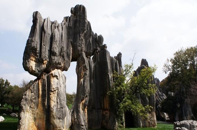 6-Day Kunming Small Group Tour
