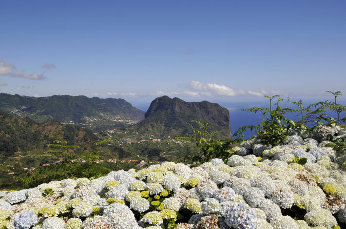 Excursion d'une journée dans l'est de Madère : Camacha, pico do Ariero, Ribeiro Frio, Portela, Santana