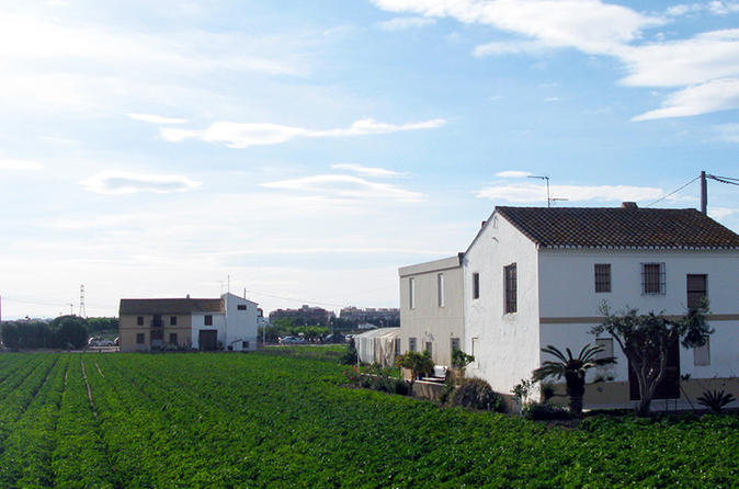 Horchata Tour and Workshop in Valencia