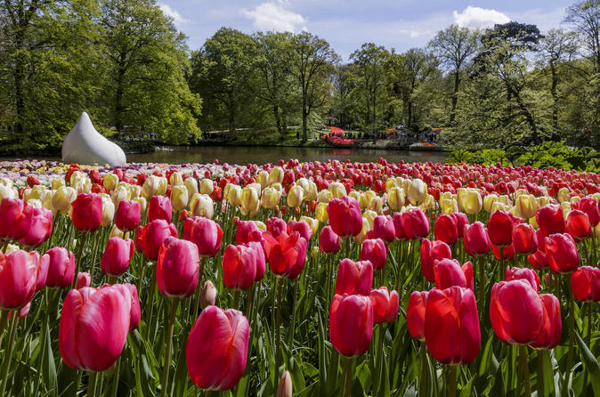 Excursion en bord de mer à Amsterdam : jardins de Keukenhof et visite des champs de tulipes