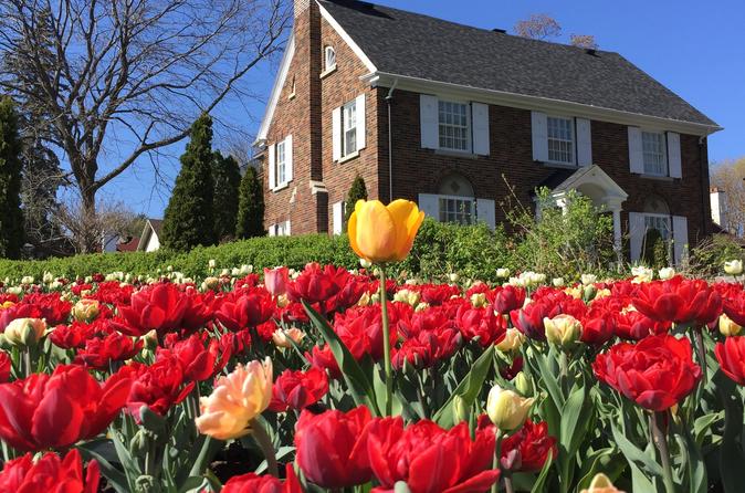 Ottawa Spring Tulip Festival Bike Tour