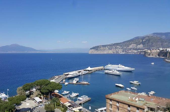 Private Tour Sorrento Winery Naples