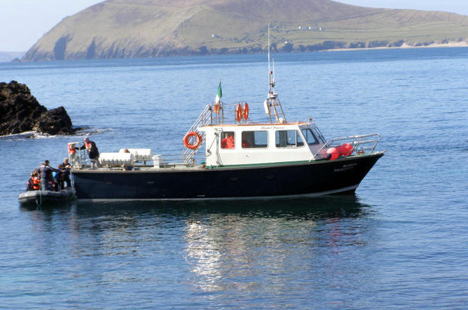 Dingle Cruises, Sailing & Water Tours