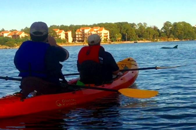 Dolphins & Wildlife Kayak Tour