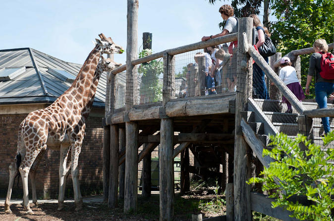 London Zoo Entry Ticket - Standard Entry Ticket 