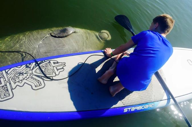 Paddle Board Or Kayak Eco Manatee Tour 2019 Cocoa Beach Paddle Board Or Kayak Eco Manatee Tour Cocoa Beach
