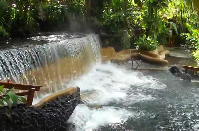 Private Tour To Arenal Volcano And Tabacon Hot Springs 2019 San Jose Private Tour To Arenal Volcano And Tabacon Hot Springs San José