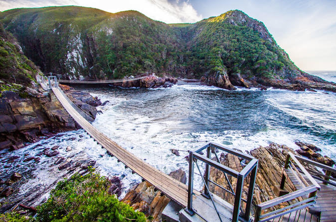 Tsitsikamma National Park Day Tour | Knysna, South Africa Activities -  Lonely Planet