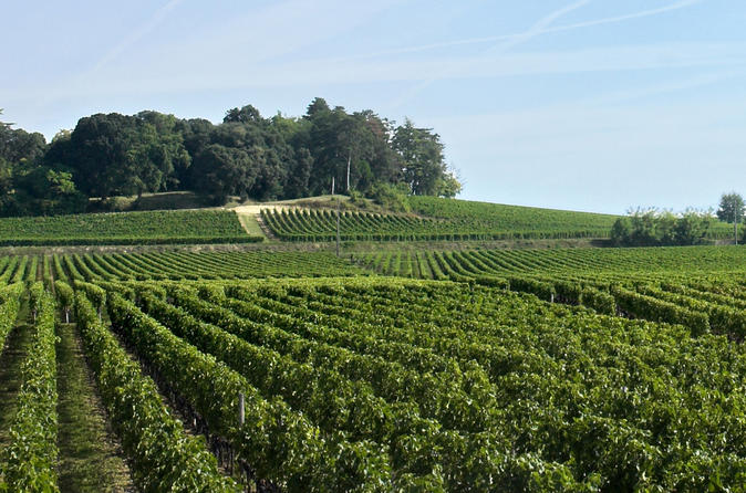 Gita di un giorno a Saint-Emilion, partenza da Bordeaux: degustazioni di vini presso gli Château (aziende vitivinicole) e pranzo
