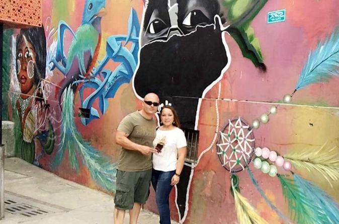 Private Half-Day Medellín Graffiti Tour Including Metrocable
