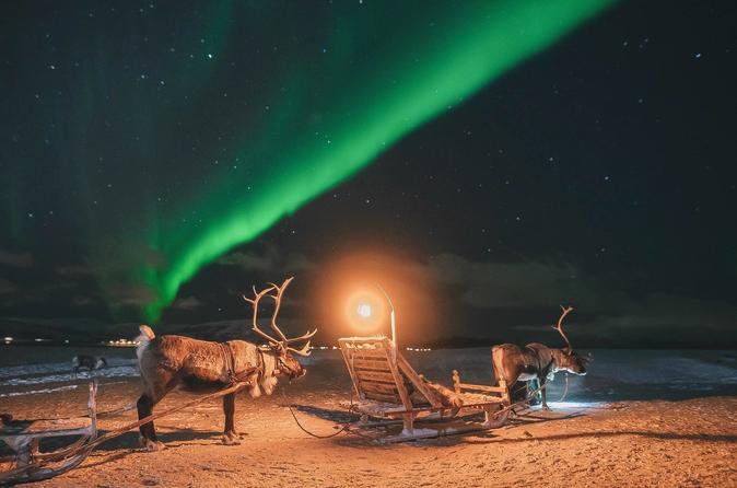 Night Reindeer Sledding with Camp Dinner and Chance of Northern Lights ...