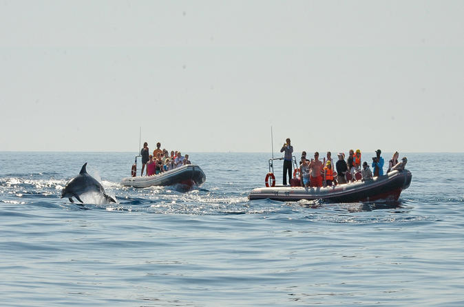 Viagem de observação de golfinhos e pelas cavernas saindo de Albufeira