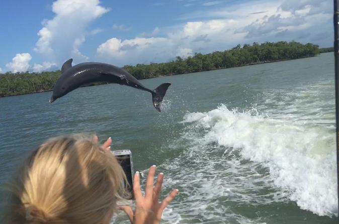 3-Hour Dolphin Tour near Marco Island