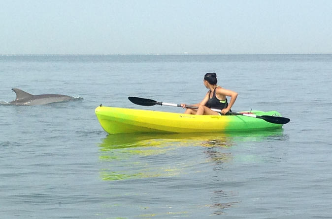 Small Group Dolphin Kayak Eco Tour 2019 Virginia Beach Next