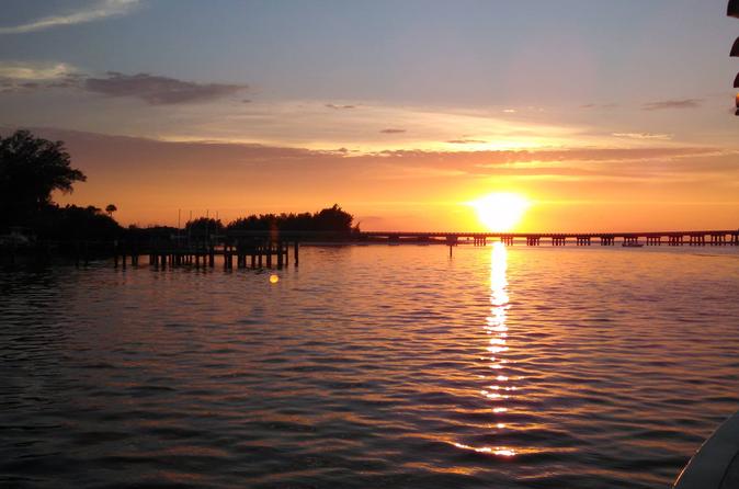 Palma Sola Bay Sunset Dolphin Cruise
