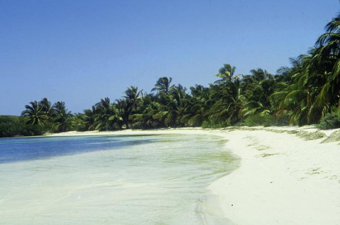Excursion d'une journée à Isla Contoy : tour de plongée avec masque et tuba sur le récif d'Ixlache et écoparadis