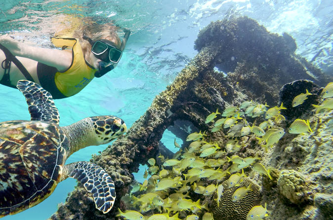 Reef and Shipwreck Snorkeling Tour in Cancun