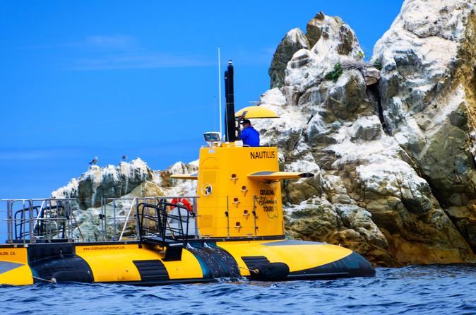 45-Minute Semi-Submarine Tour of Catalina Island From Avalon