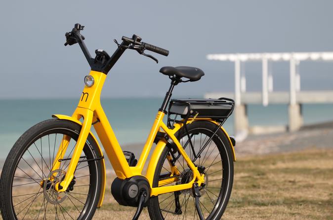Guided Electric Bike Tour Of Napier