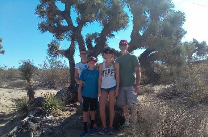 Joshua Tree National Park Van Tour