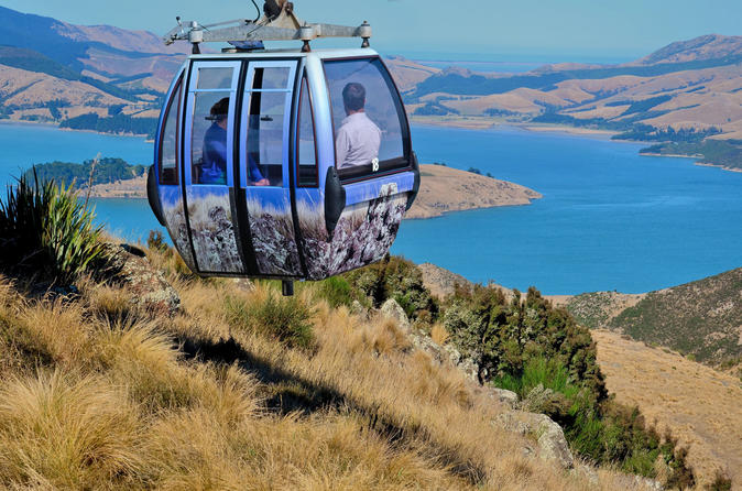 Christchurch Sightseeing Tickets & Passes