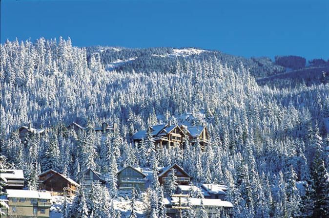 Private tour whistler day trip from vancouver in vancouver 47773