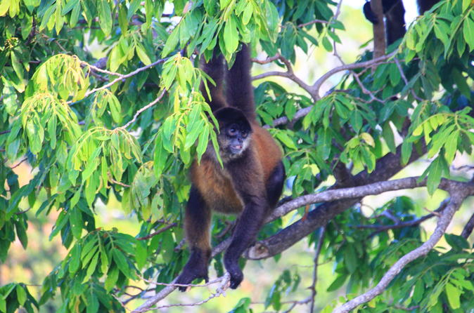 Small-Group El Chocoyero El Brujo Nature Reserve Tour from Managua