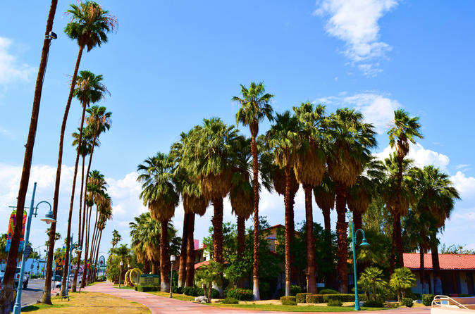 Palm Springs Cultural & Theme Tours
