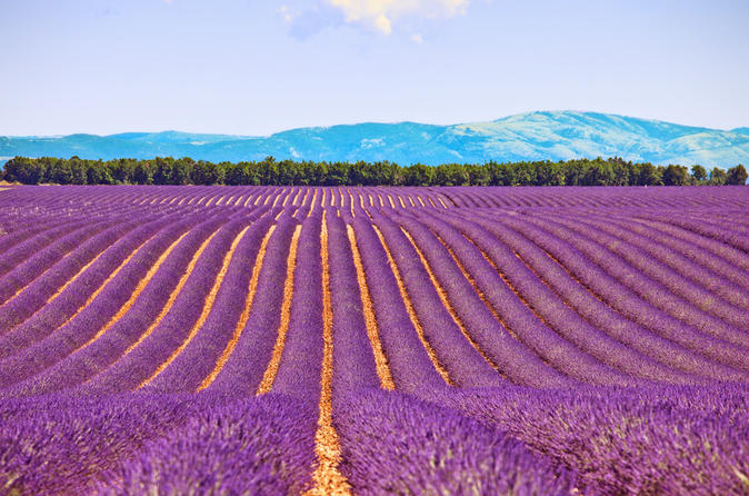 Provence Holiday & Seasonal