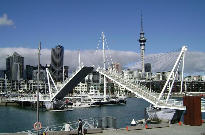 Auckland Landausflug: Stadttour von Auckland in kleiner Gruppe