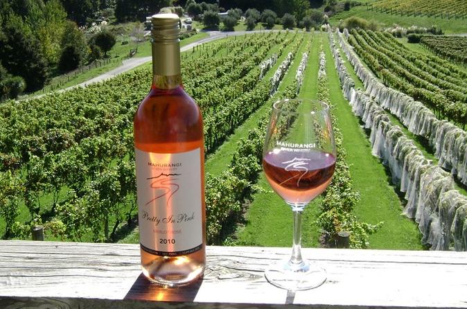 Tour du bord de mer d'Auckland : tour gastronomique et de dégustation de vins en petit groupe à Matakana