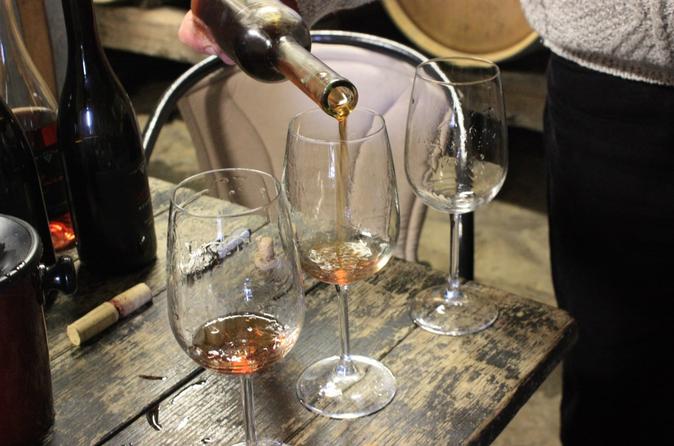 Istrian noTourist Wine Tour for min 4 persons
